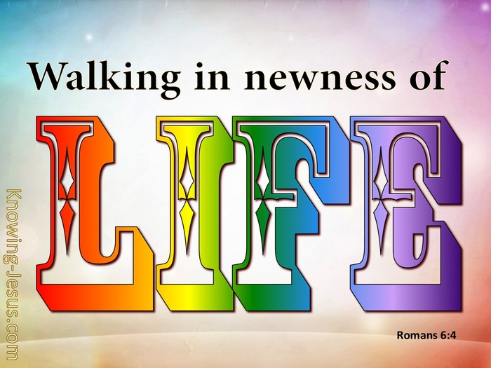 What Does Romans 6 4 Mean what-does-romans-6-4-mean